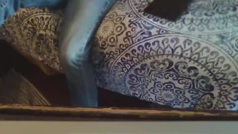 Smithology online show from 02.20.25