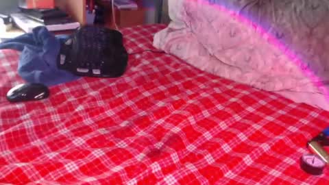 Snapshot of snailfxcks chatting on 02.17.26 Snail online show from 02.17.26