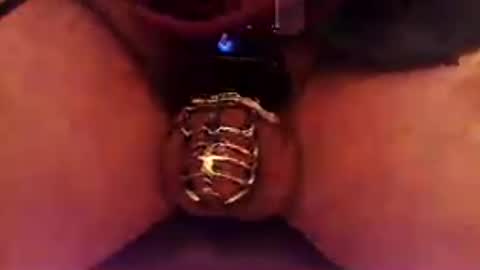 Snapshot of snakepit31 chatting on 08.09.26 Sissy Boy online show from 08.09.26