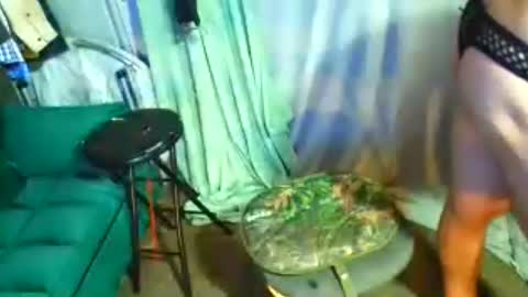 snizniz online show from 07.29.26
