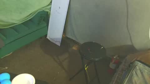 snizniz online show from 08.02.26