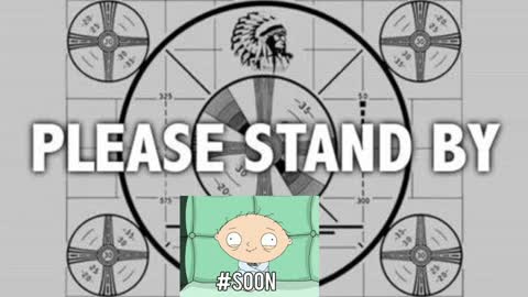 kitten online show from 01.06.25