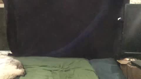 Snapshot of snowsurfer2 chatting on 11.01.25 Riley Ray online show from 11.01.25