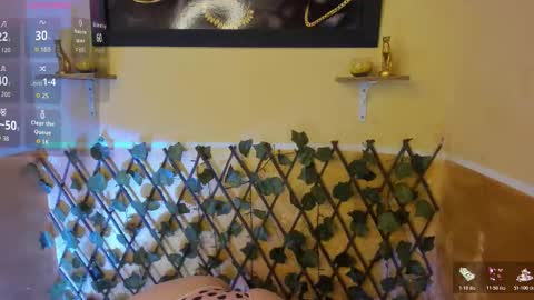 leidy online show from 11.30.25