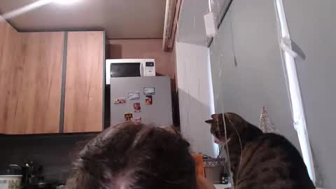 Sofi online show from 01.07.26