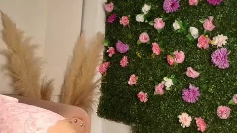 Sofi  online show from 01.15.26