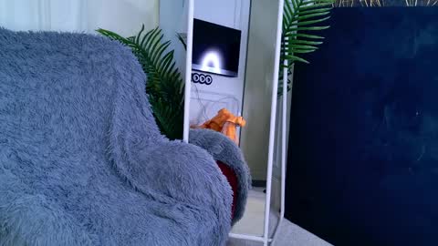 Sofia online show from 04.01.26