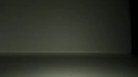 L4 online show from 11.12.25