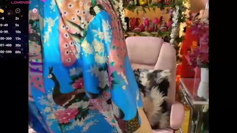 solesticia online show from 02.03.26