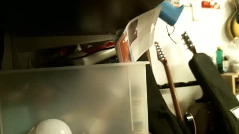 BruceWilly online show from 01.26.25