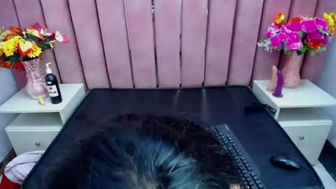 sophi_hardd online show from 12.13.24