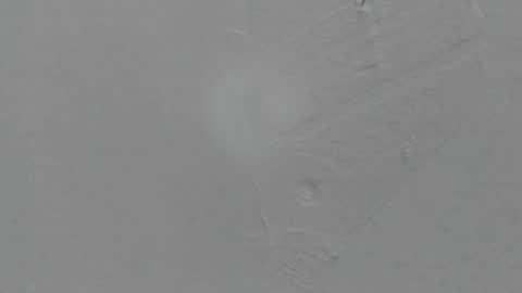 sophia_ebony___ online show from 02.08.26