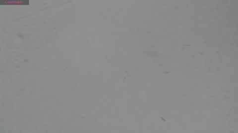 Snapshot of sophia_ebony___ chatting on 04.29.26 sophia_ebony___ online show from 04.29.26