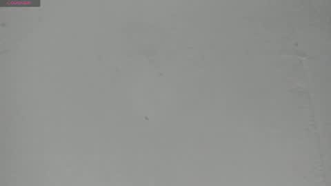 Snapshot of sophia_ebony___ chatting on 05.23.26 sophia_ebony___ online show from 05.23.26