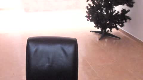 Snapshot of sophia_harry chatting on 12.14.24 sophia CM online show from 12.14.24