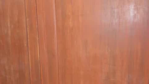 Shopiia88 online show from 02.18.26