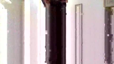 Sorfo online show from 01.15.26