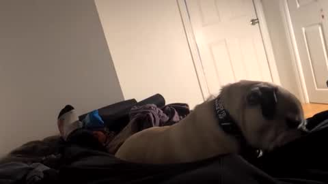 souls6207 online show from 03.15.26