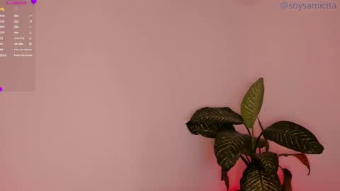 Snapshot of soysamicita_ chatting on 12.17.24 Sami Diaz online show from 12.17.24