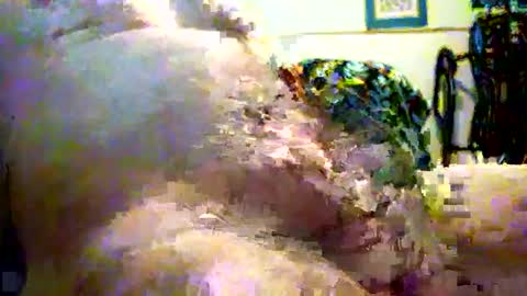 sparkybig127 online show from 12.07.24