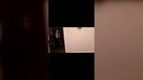 specialiest online show from 03.08.26