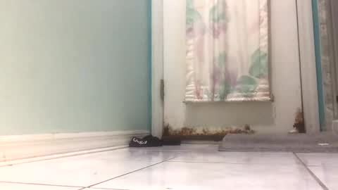 speedforbenji19 online show from 03.12.25