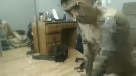 speedfreekeespun online show from 02.25.25