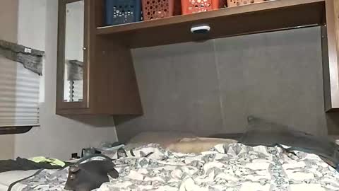 speedo_tx online show from 03.07.26