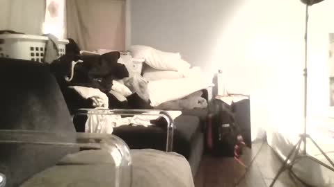 speedsoldier online show from 10.13.25