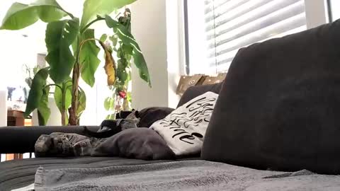 Snapshot of spritzer669 chatting on 12.13.24 Spritzer669 online show from 12.13.24