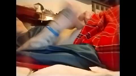 spundaddyandprincess online show from 12.02.24