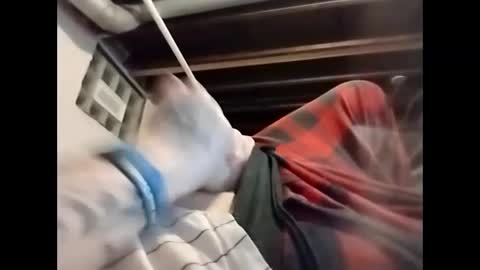 spundaddyandprincess online show from 12.04.24