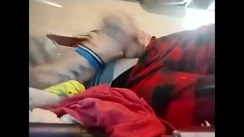 spundaddyandprincess online show from 12.08.24