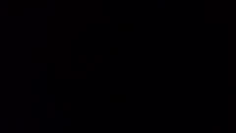 Squally Willy  MaryAnne online show from 01.30.25