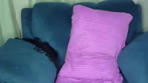 shana online show from 12.08.24