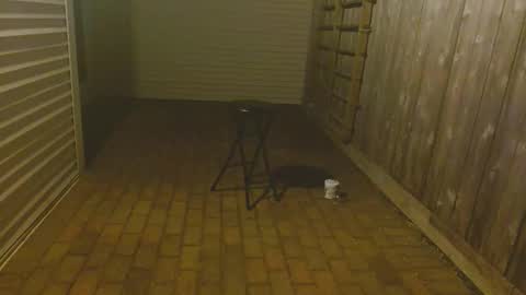 srtxshow online show from 10.23.25