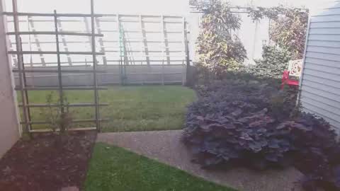 srtxshow online show from 11.16.25