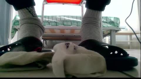 Snapshot of ssenzo chatting on 12.10.24 ssenzo online show from 12.10.24