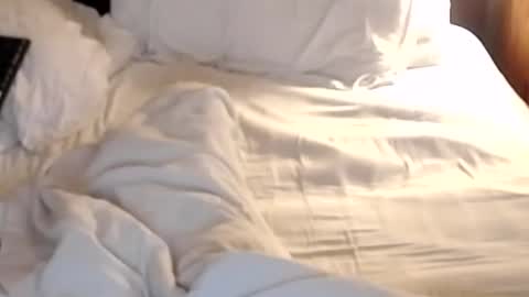 st8llion online show from 01.24.25