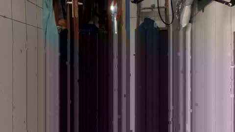 stambo0704987834 online show from 01.08.26