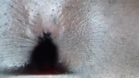 Snapshot of staminalord chatting on 02.26.26 calvin online show from 02.26.26