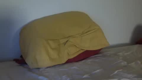 stan_hung online show from 12.08.24