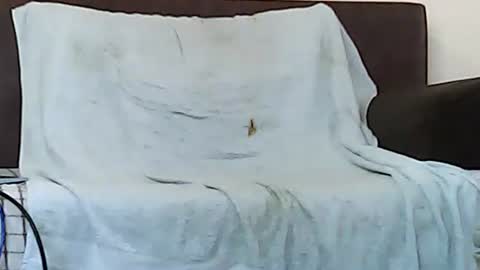 star0806666a online show from 11.06.25