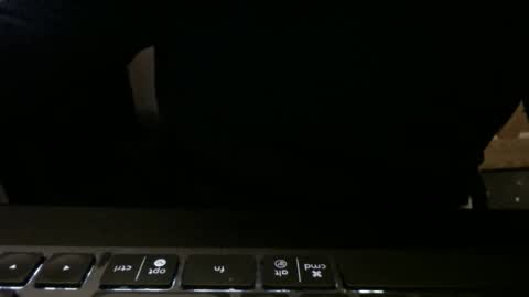 Snapshot of stargazer1069 chatting on 11.13.25 stargazer1069 online show from 11.13.25