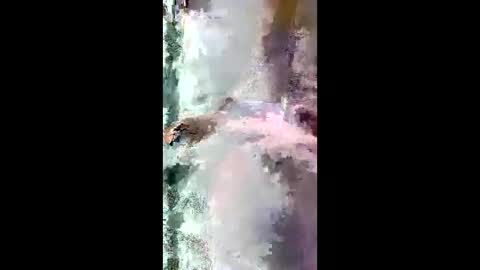 Snapshot of starrywhispers chatting on 03.28.26 StarryWhispers online show from 03.28.26