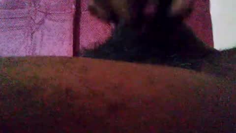 stebel666185 online show from 09.22.25