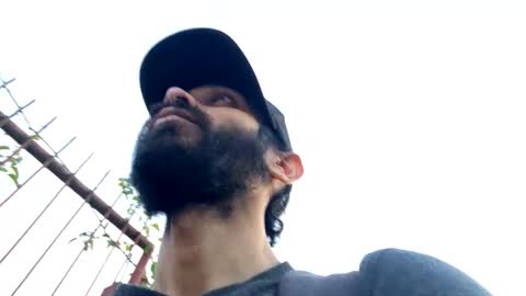 Lobo del Antiguo Oriente online show from 03.19.26