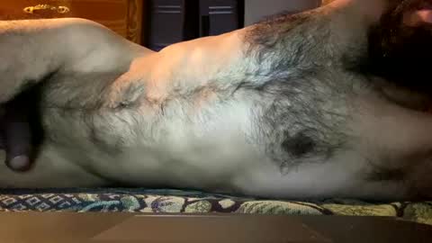 Lobo del Antiguo Oriente online show from 04.11.26