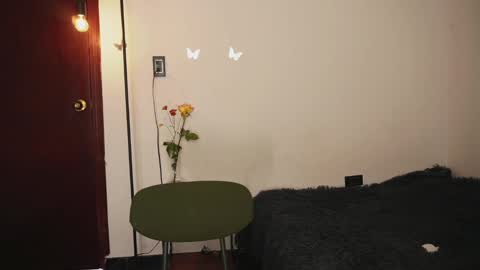 Stef online show from 03.11.25