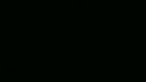 steflab online show from 01.06.26